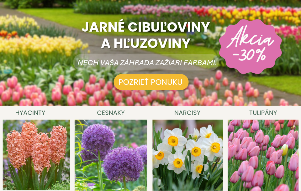Jarné cibuloviny a hľuzoviny 2026