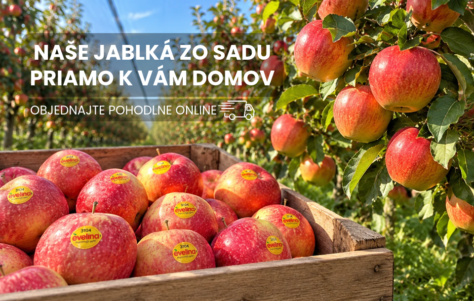 Jablká z našich sadov