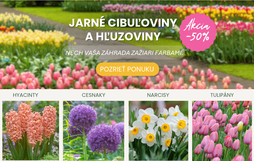 Jarné cibuloviny a hľuzoviny 2026
