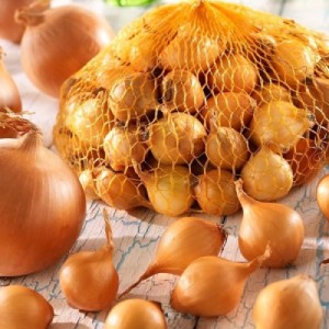 Sadzačky cibule a cesnaku