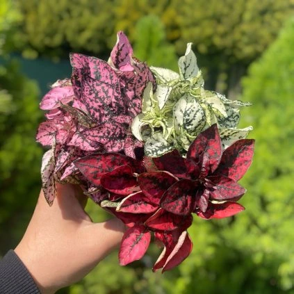 711ebee5 d836 4a08 8b17 4eb3a5777588 Photoroom