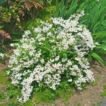 DM foto 2026 03 20T152113.230