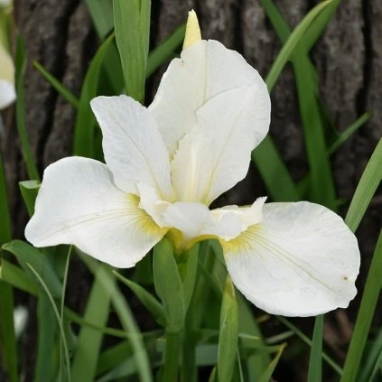 image Photoroom 2025 04 30T144110.925