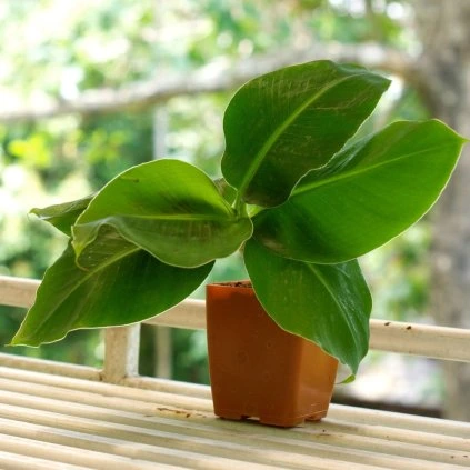 b6e7b491 8726 4a7c 8f0c 1f35771954cc