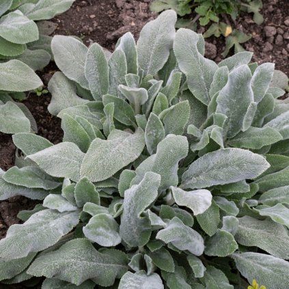 DM foto 2026 04 11T113440.060